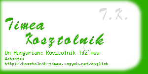 timea kosztolnik business card